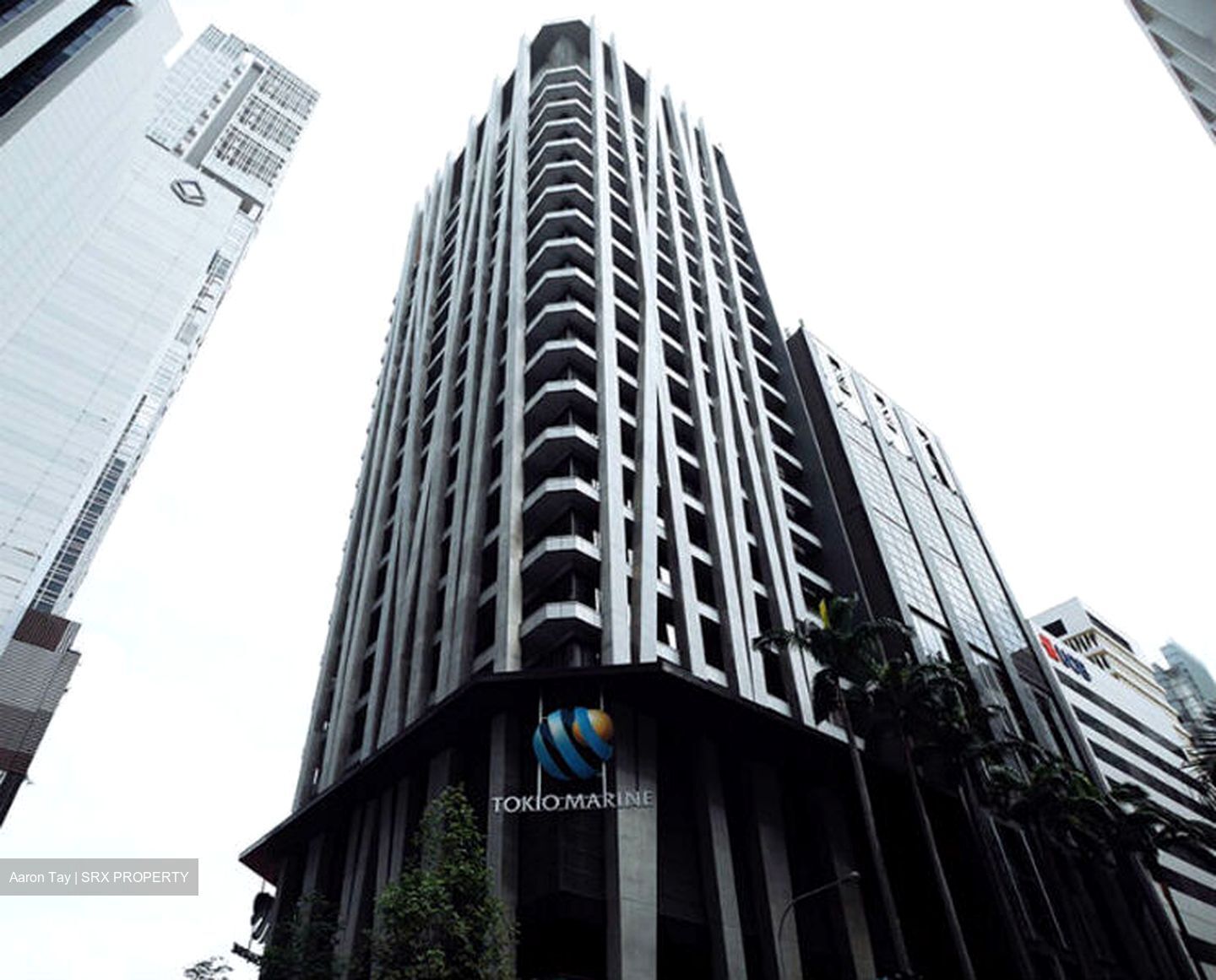 Asia Chambers (D1), Office #551786661